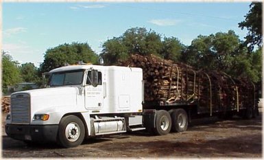 Auld Cedar Yard - Cedar Posts, CedarClearing, Cedar Fencing